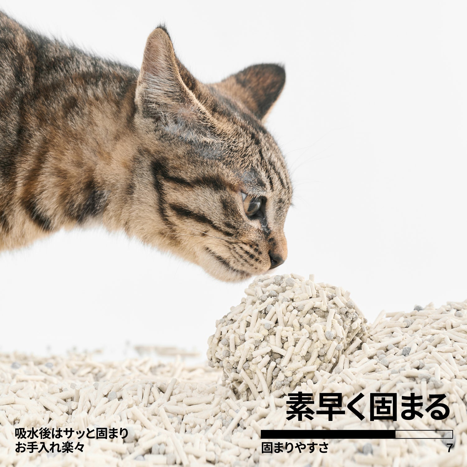 おからベントナイトミックス猫砂 – pidan