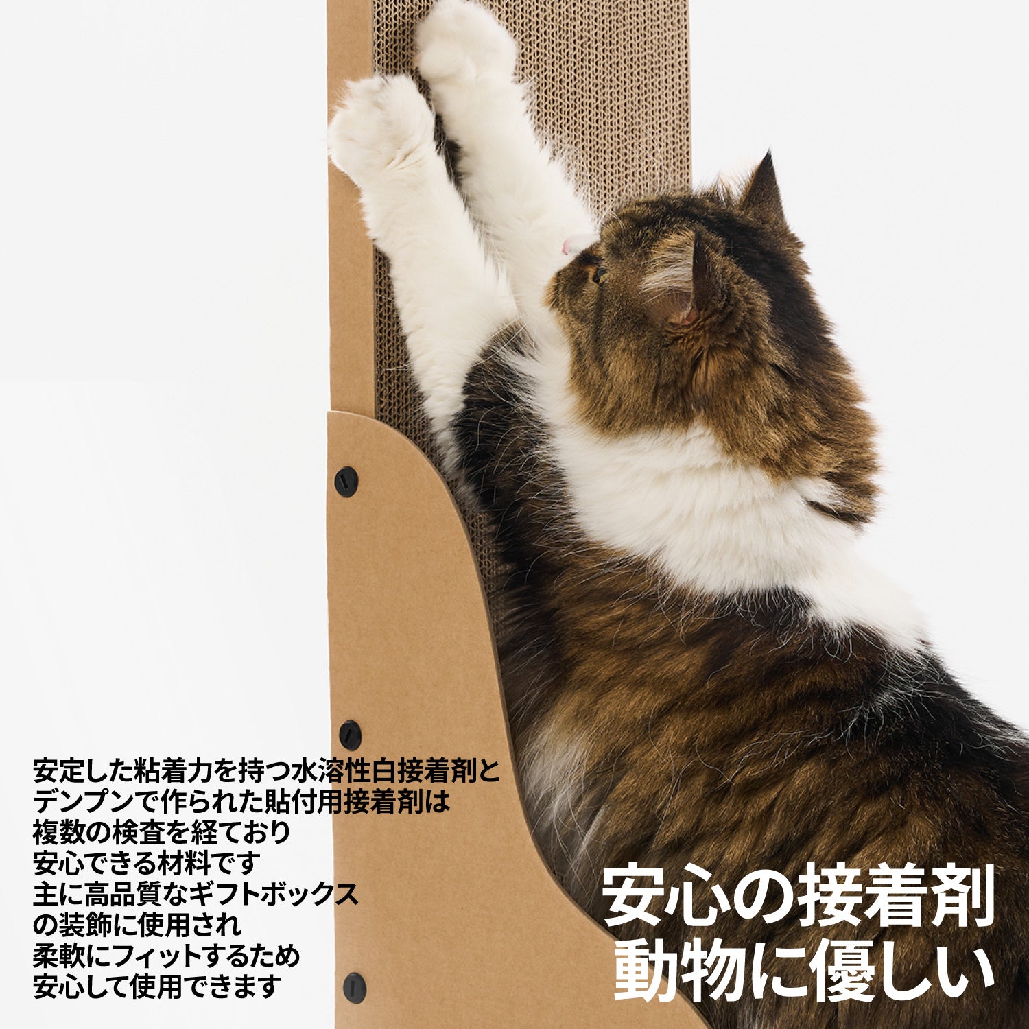 動物の爪？牙？角？剥製、インテリアに Amazon.co.jp: 鹿剥製インテリアアンティーク鹿の角鹿角置物