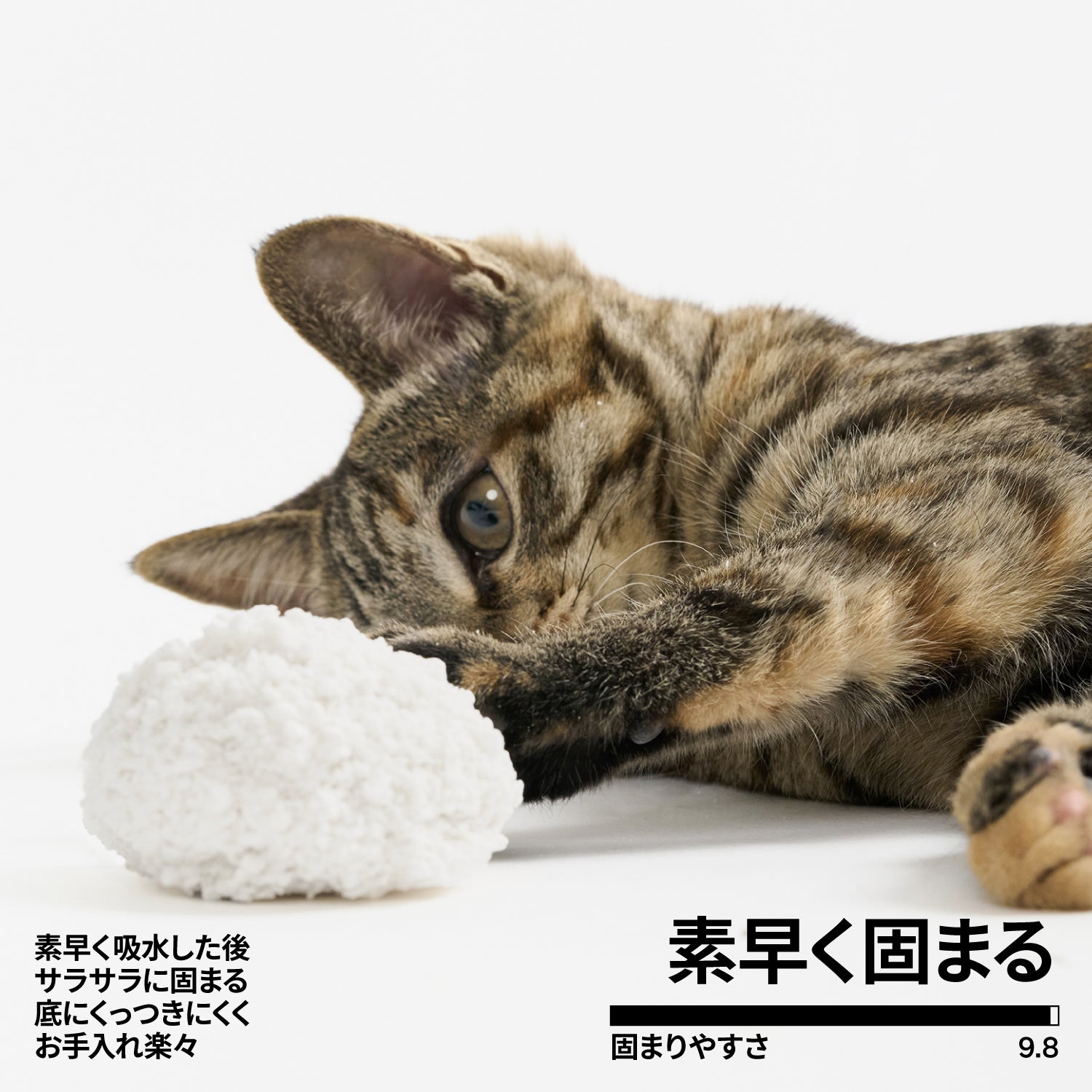 キャッサバ猫砂（自動猫トイレ対応）