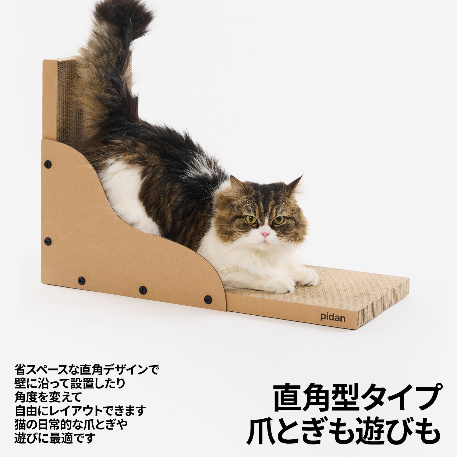 動物の爪？牙？角？剥製、インテリアに 専用 アンティーク ハンティングトロフィー ドイツ 什器