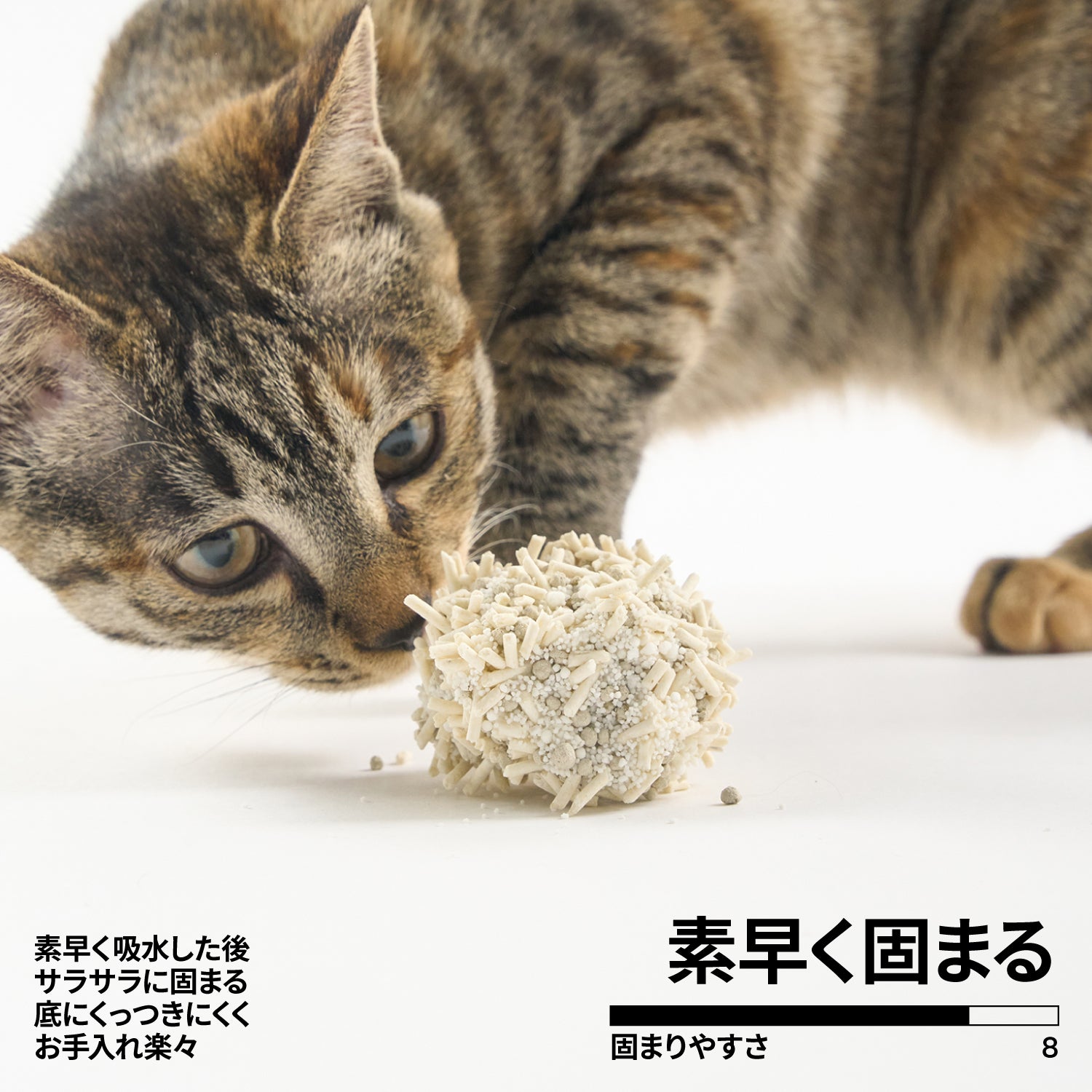 Amazon | e-smile 猫 トイレマット ねこ ネコ 猫砂取りマット 肉
