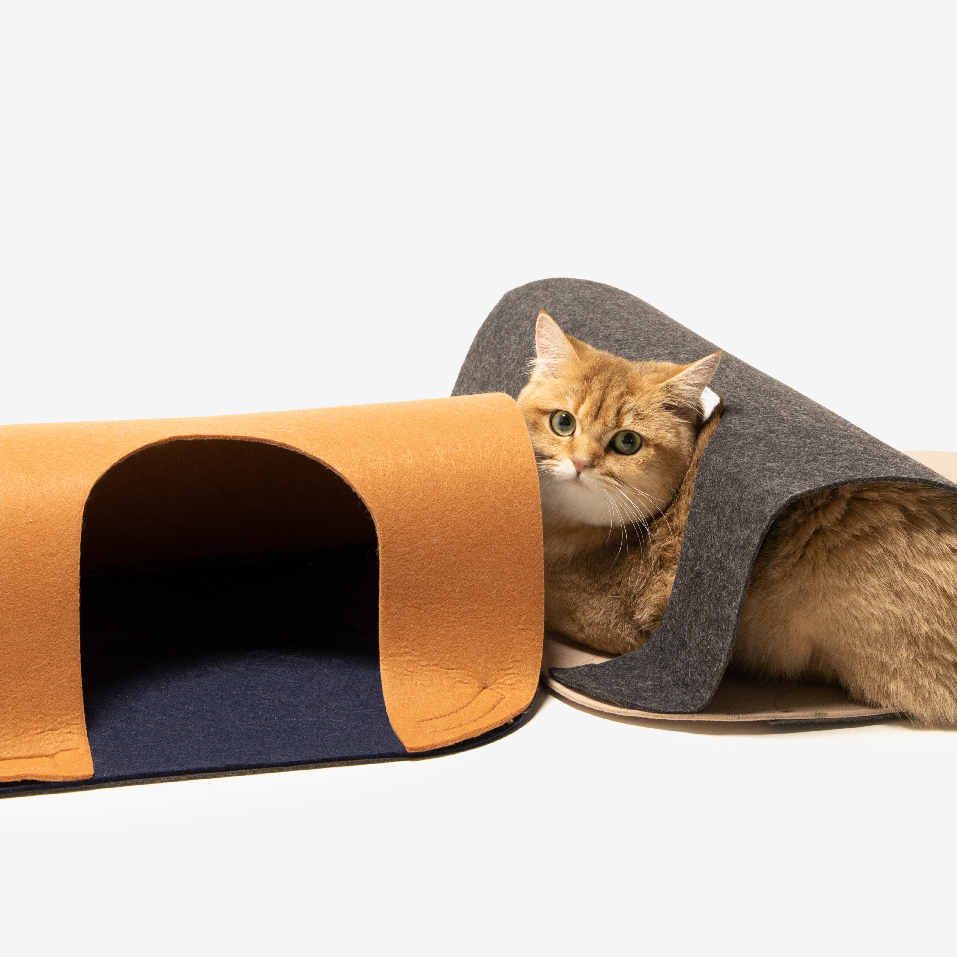 nago 猫のボタン box21 がま口小銭入れ コインケース ネコ 猫 ボックス21