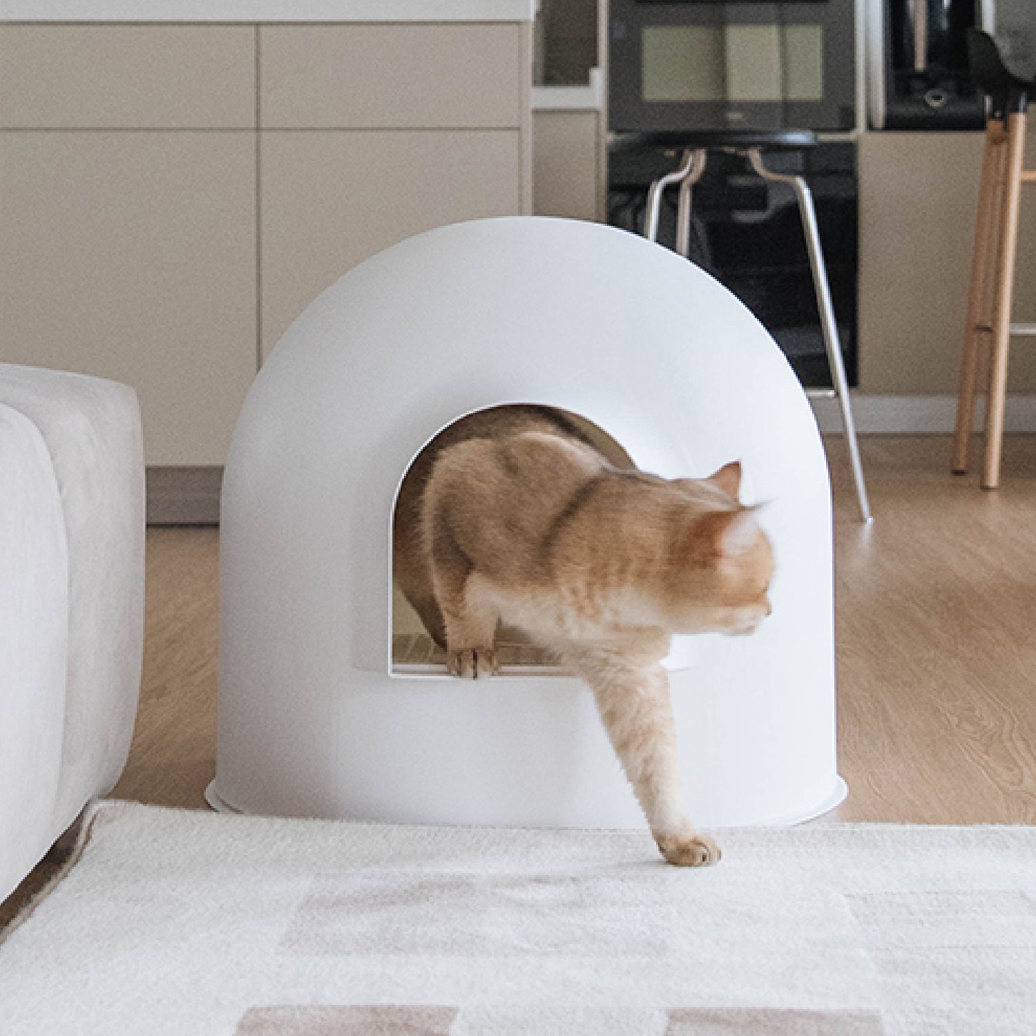 スノードーム型猫用トイレ