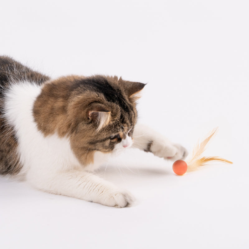 猫用おもちゃバウンシングボール（3個セット）